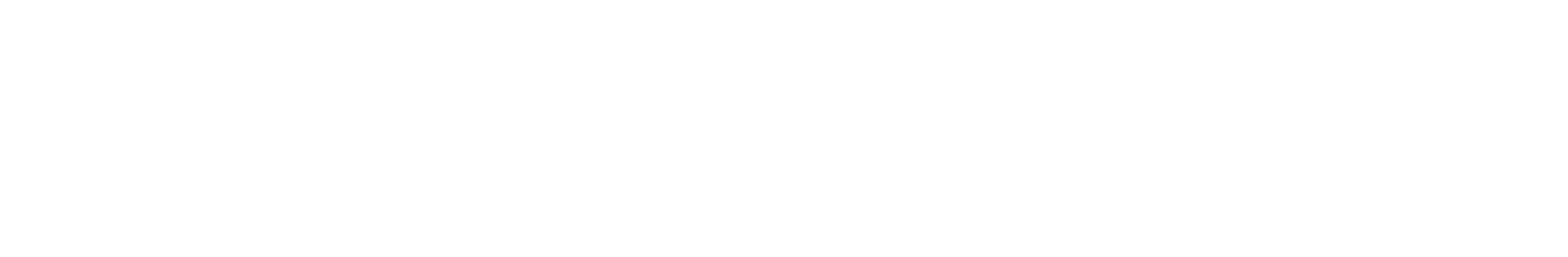 Effecsion logo white